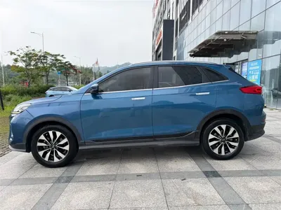 WM Motor EX5