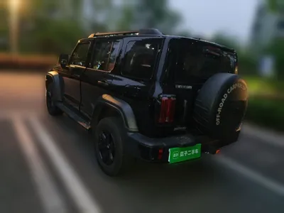 Tank 300