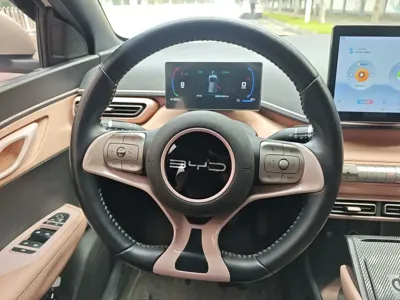 BYD Seagull