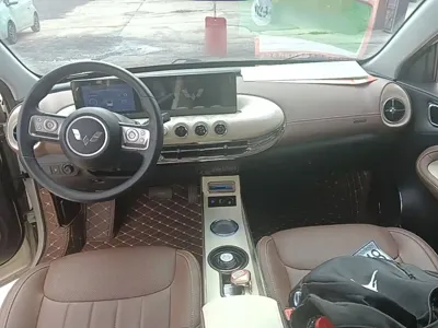 Wuling Bingo
