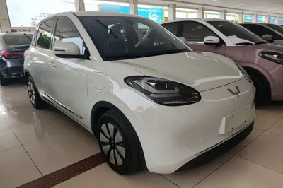 Wuling Bingo