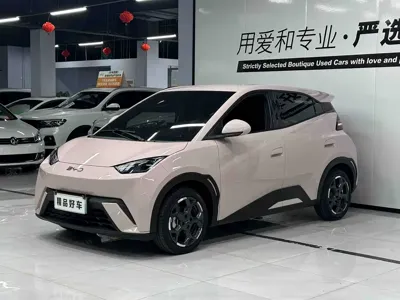BYD Seagull