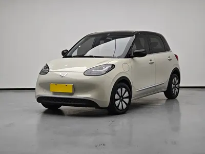 Wuling Bingo