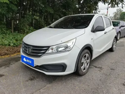 Baojun 310