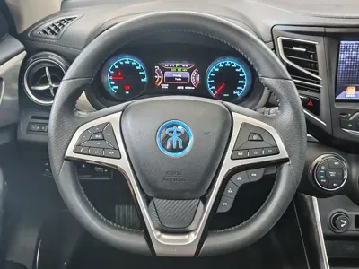 BYD New Energy
