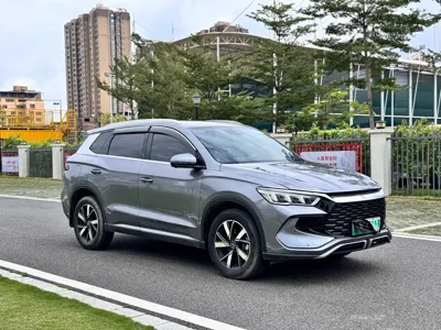 BYD Pro New Energy