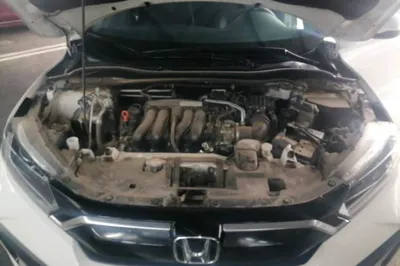 Honda XR-V