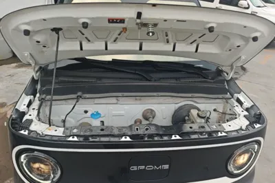 Geely Galaxy Panda