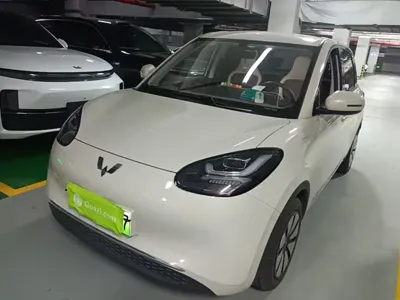 Wuling Bingo