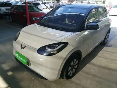 Wuling Bingo