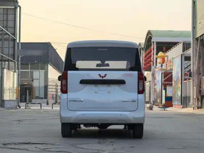 Wuling Zhiguang