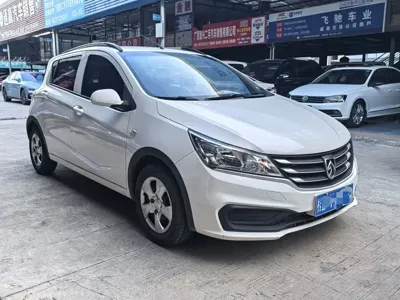 Baojun 310