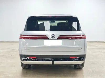 Denza Denza D9