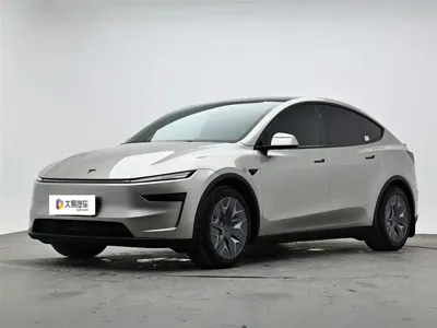 Tesla Model Y L