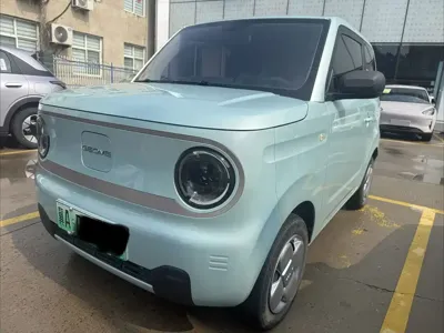 Galaxy Panda