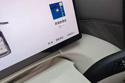 WEY Gaoshan