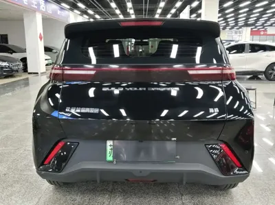 BYD Seagull