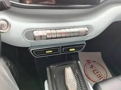 BYD Seagull