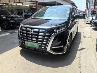 Denza Denza D9