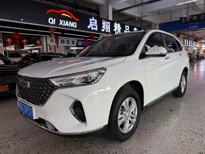 Haval M6