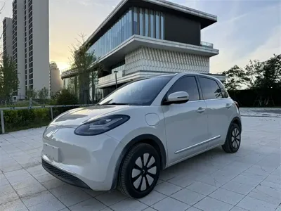 Wuling Bingo