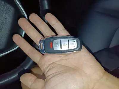 NETA Neta V