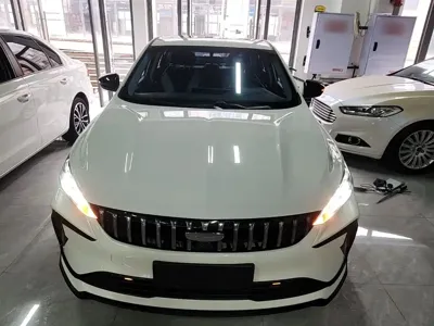 Geely Binrui