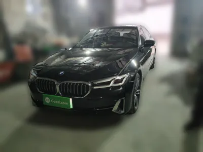 BMW 5 Series New Energy