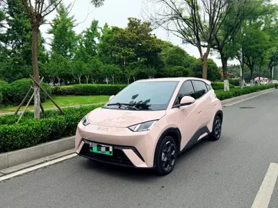 BYD Seagull