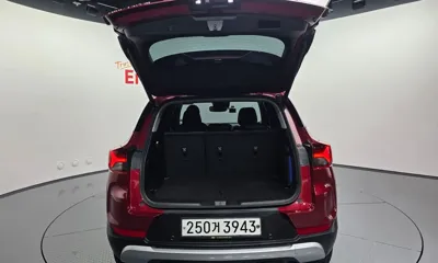 ChevroletGMDaewoo Trailblazer