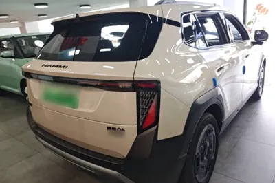 Dongfeng NAMMI 06