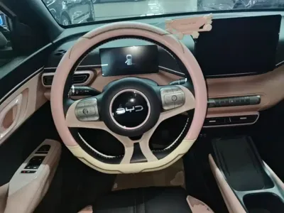 BYD Seagull