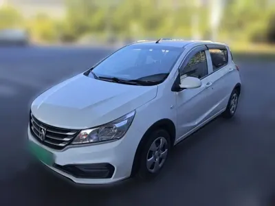 Baojun 310