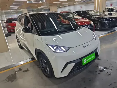 BYD Seagull