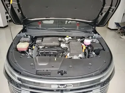BYD Destroyer 05