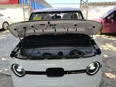 Galaxy Panda