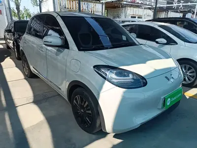 Wuling Bingo