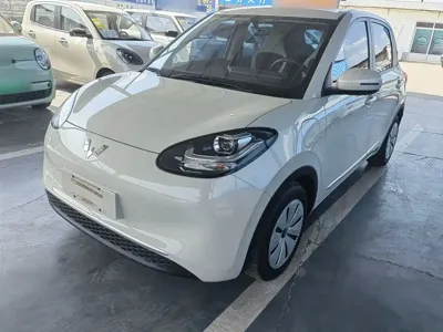 Wuling Bingo