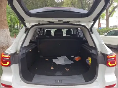 Roewe RX5 New Energy