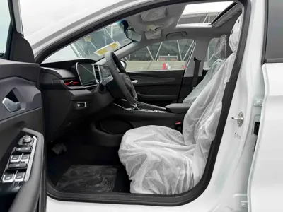 Geely Binrui