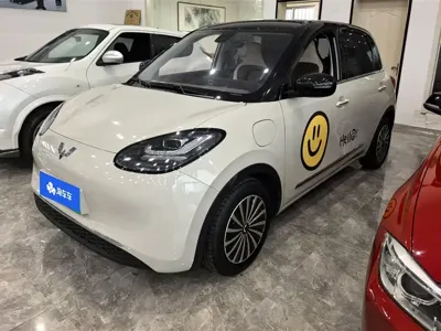 Wuling Bingo