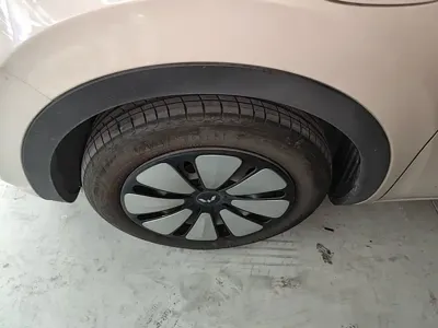 Wuling Bingo
