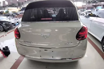 Wuling Bingo