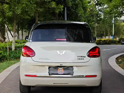 Wuling Bingo