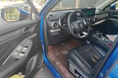 WEY VV6
