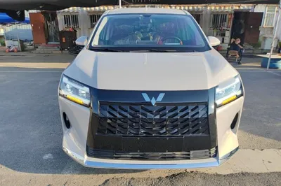 Wuling 730
