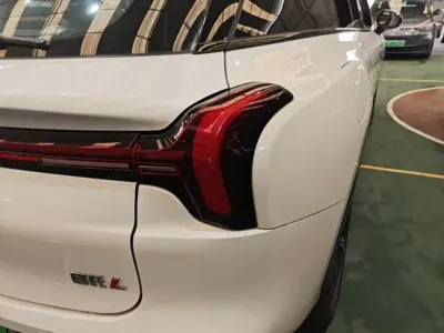 NETA Neta L