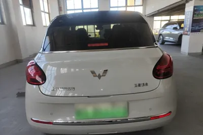 Wuling Bingo