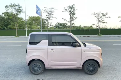 Geely Galaxy Panda