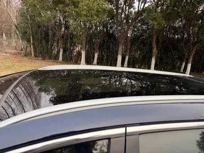 BYD MAX